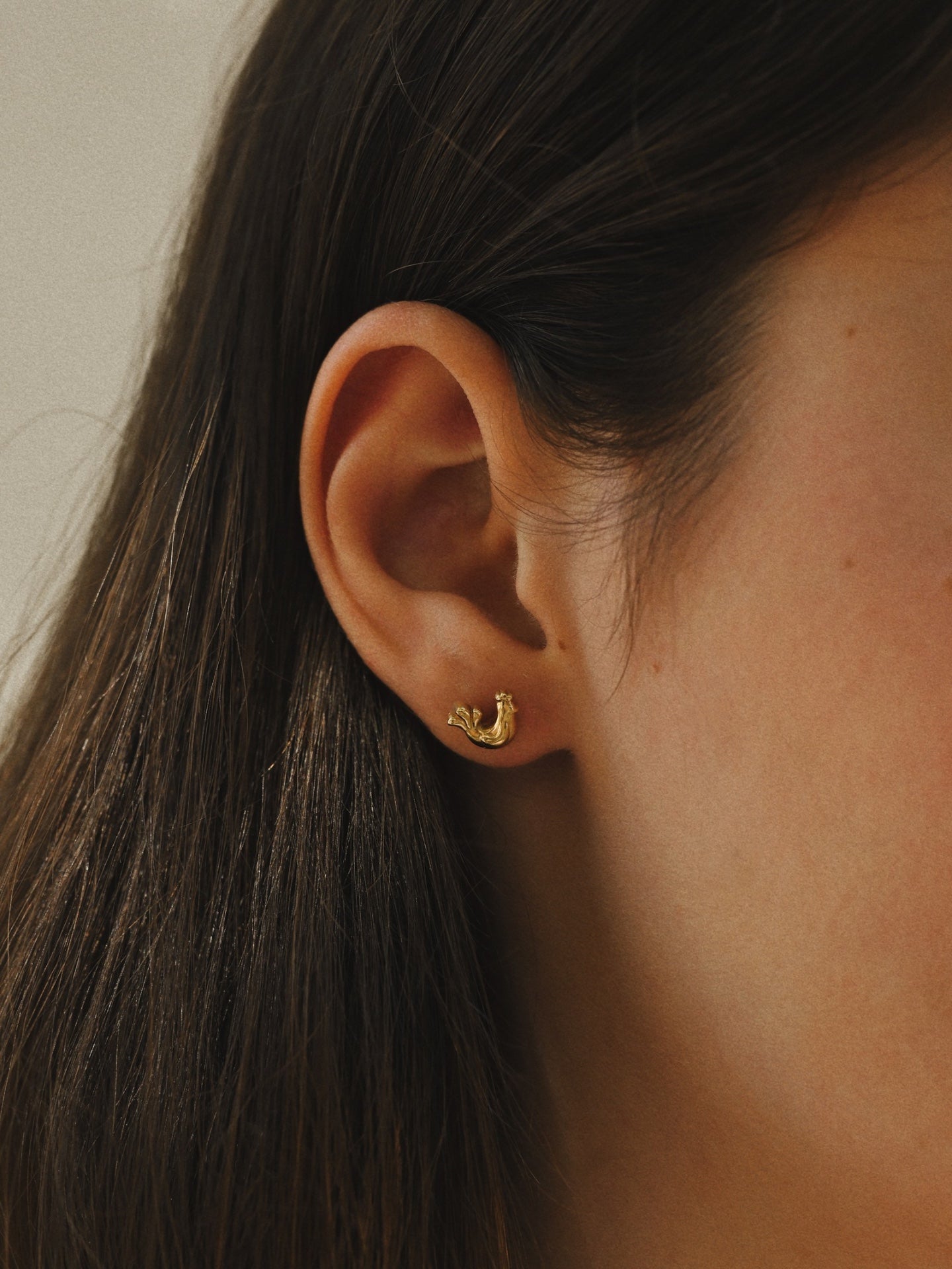 Earrings Ptashka (mini)